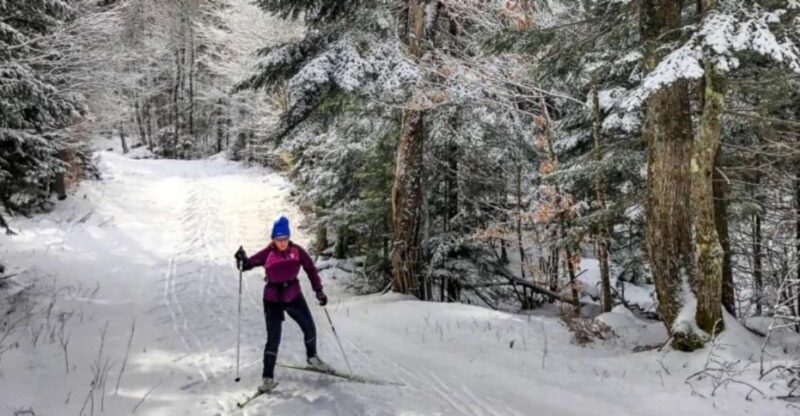 From Gardiner: Guided Yellowstone Cross-Country Skiing Tour - Exploring Yellowstone by Cross-Country Ski