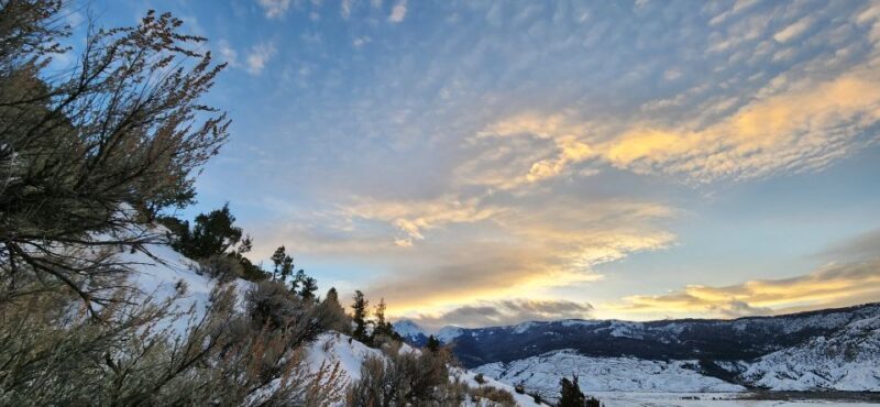 From Gardiner: Yellowstone National Park Snowshoe Tour - An In-Depth Look at the Yellowstone Snowshoe Tour