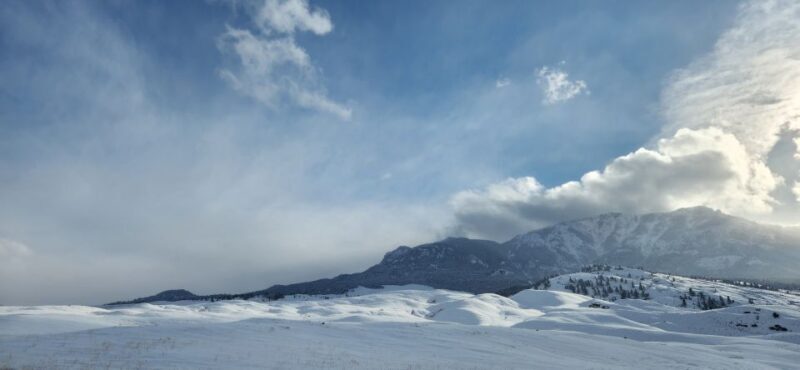 From Gardiner: Yellowstone National Park Snowshoe Tour - FAQs