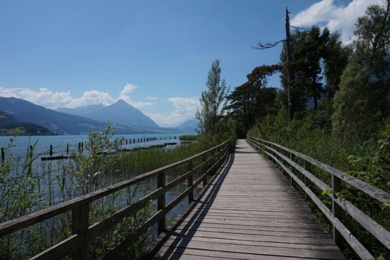 From Geneva: Full-Day Trip to Interlaken - From Geneva: Full-Day Trip to Interlaken — A Practical Guide