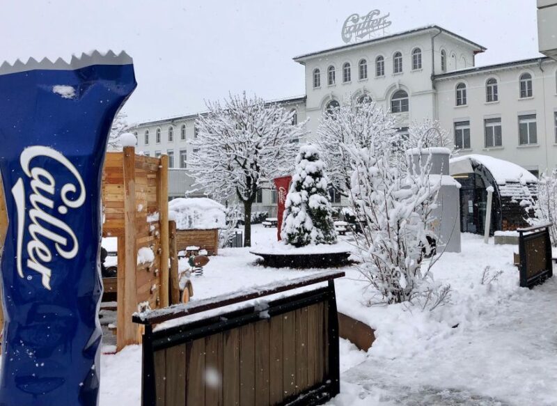 From Geneva: Gruyére Chocolate and Cheese Tasting Day Trip - Key Points