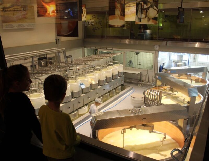 From Geneva: Gruyères Cheese & Chocolate Full-Day Trip - What Makes This Tour Stand Out?