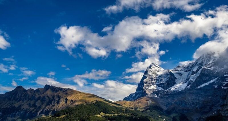 From Geneva: Paragliding and Interlaken Trip - From Geneva: Paragliding and Interlaken Trip — A Practical Adventure with Stunning Rewards