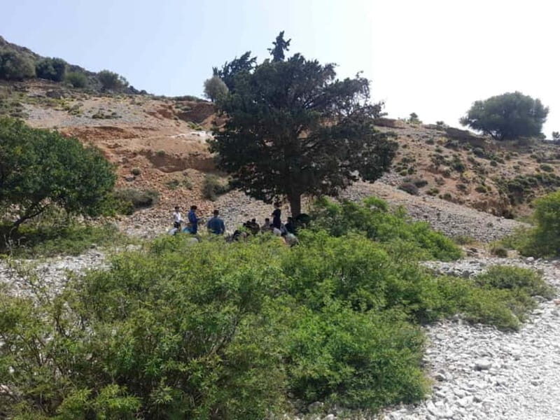 From Georgioupoli: Easy Hiking Day-Trip to Imbros Gorge - Who Will Enjoy This Experience
