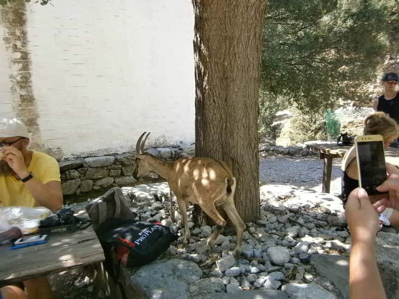 From Georgioupolis: Roundtrip Transfer to Samaria Gorge - Key Points