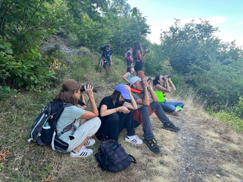 From Gijón, Oviedo or Pola de Somiedo: Brown Bear Spotting - Who Should Consider This Tour?
