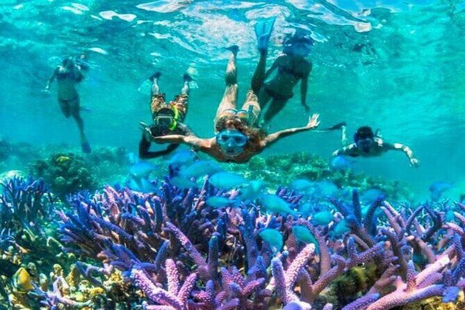 From Gili Trawangan: Island Hopping Snorkeling Trip - From Gili Trawangan: Island Hopping Snorkeling Trip—A Detailed Look