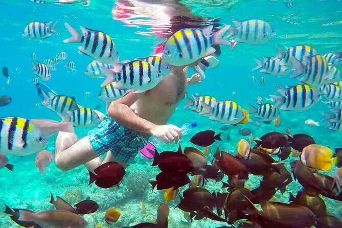 From Gili Trawangan: Island Hopping Snorkeling Trip - Key Points