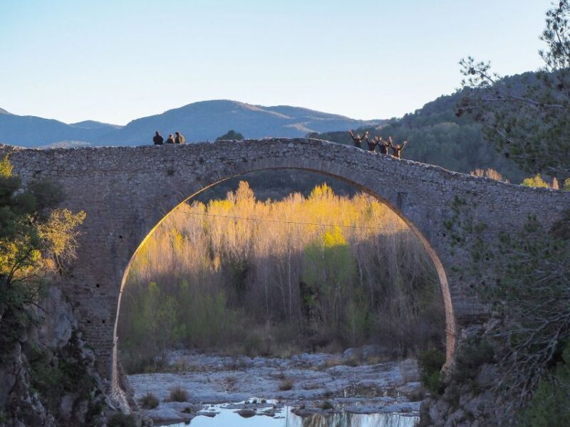 From Girona: Besalú, Banyoles & Historical Garrotxa Day Trip - An In-Depth Look at the Tour Experience