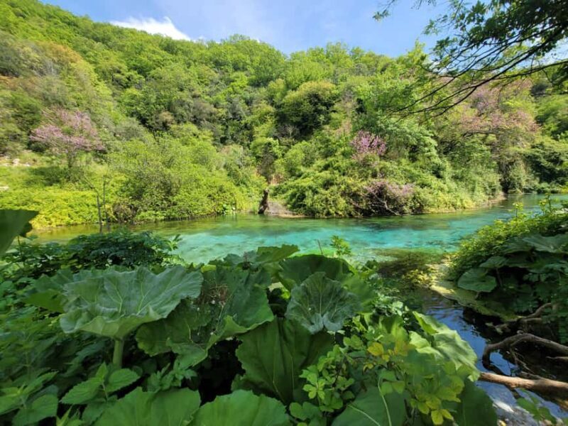 From Gjirokastër: Blue Eye, Butrint, and Saranda Tour - The Practicalities