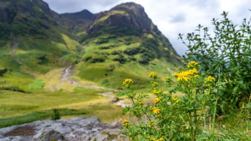 From Glasgow: Loch Ness, Glencoe and Scottish Highlands Trip - Final Thoughts