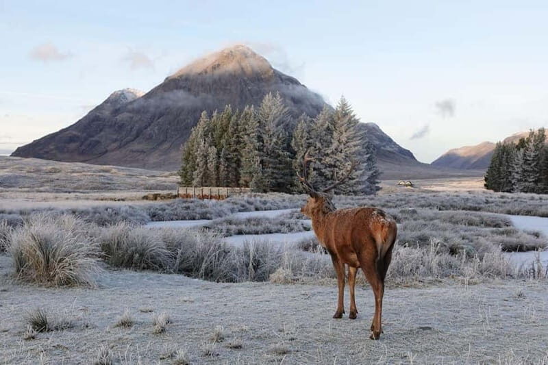 From Glasgow: Oban, Glencoe & Highlands Day Tour - Glencoe’s Majestic Peaks and Historical Echoes