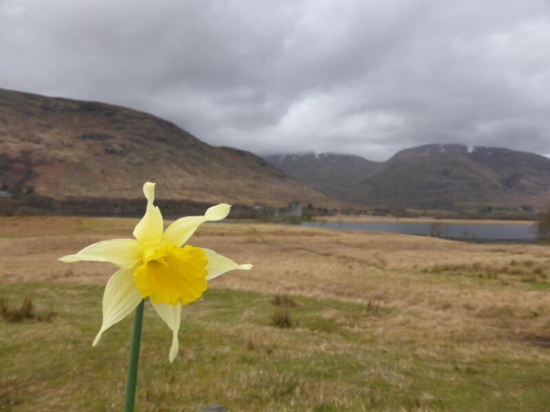 From Glasgow: Scottish Highlands & Isle of Skye 5-Day Tour - Final Thoughts: Who Will Love This Tour?