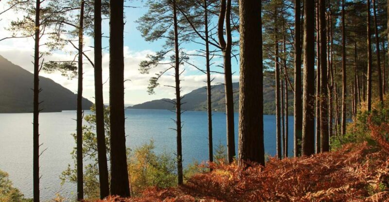 From Glasgow: Stirling Castle & Loch Lomond Tour with Cruise - Real Experiences and Authentic Insights