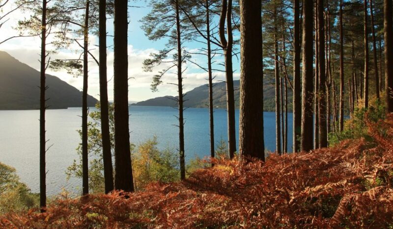 From Glasgow: Whisky and Loch Lomond Tour with Admissions - The Sum Up