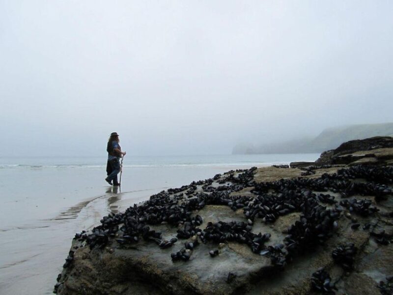 From Glastonbury: 2-Day Tintagel, Boscastle & Dartmoor Tour - FAQs