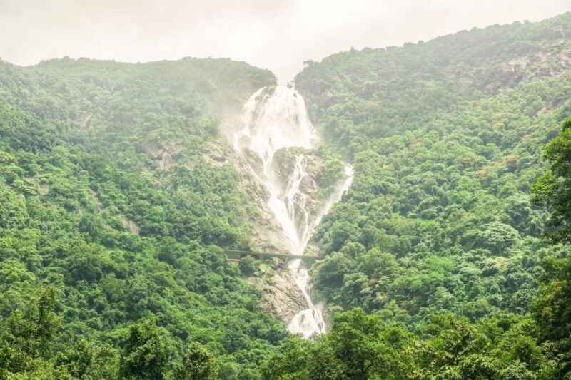 From Goa: Dudhsagar Waterfalls & Plantation Tour - Practical Details and Considerations