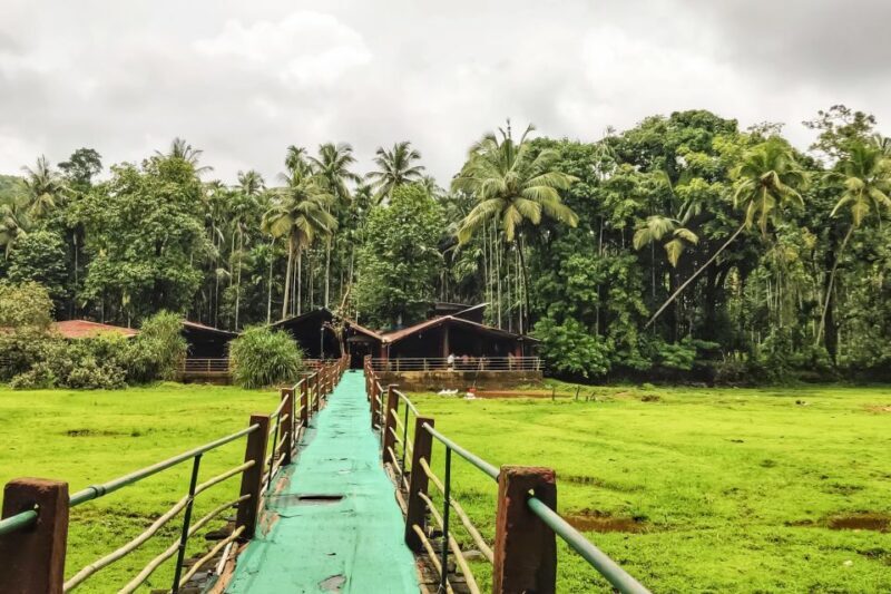 From Goa: Dudhsagar Waterfalls & Plantation Tour - Authenticity and Value