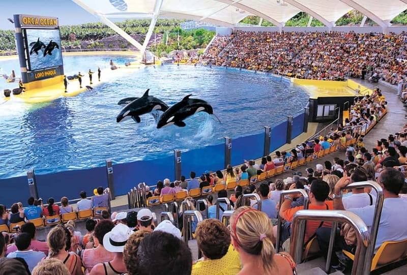 From Gran Canaria: Day Trip to Loro Parque Tenerife - Who Should Consider This Tour?