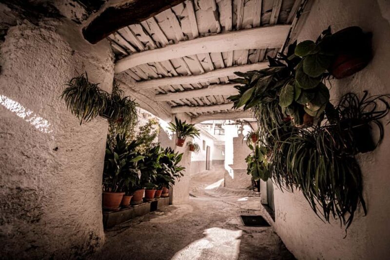 From Granada: Alpujarra Region Full Day Tour - A Deep Dive into the Alpujarra Experience