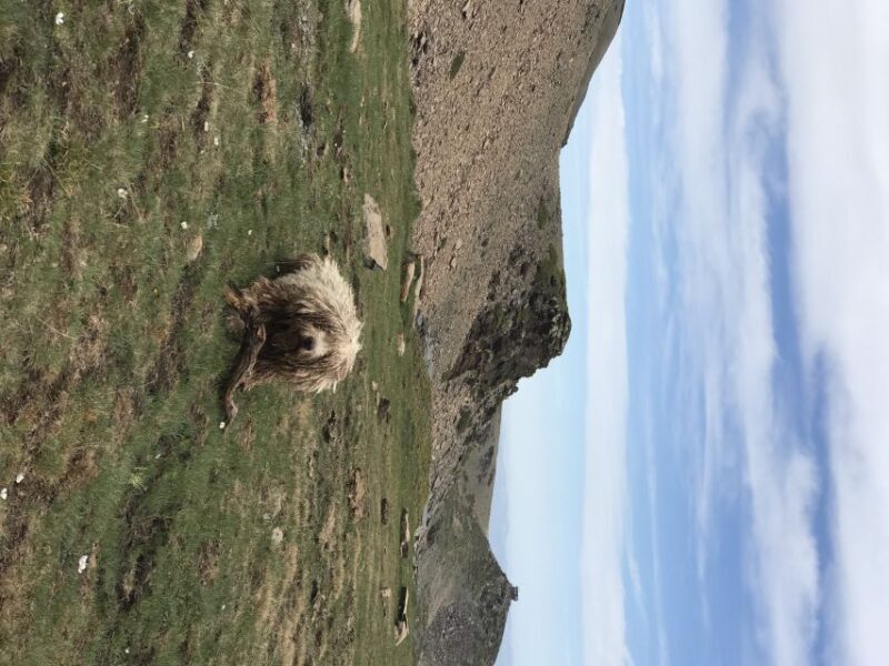From Granada: High Sierra Nevada hiking experience - The Sum Up: Who Will Love This Tour?