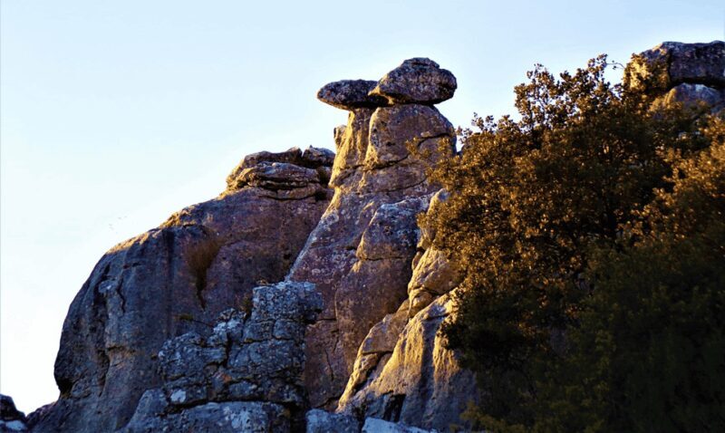 From Granada: Lobo Parque and Torcal de Antequera, Adventure Excursion - Frequently Asked Questions (FAQs)