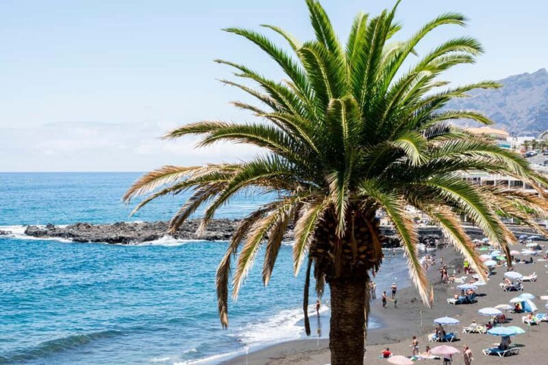 From Granada: Nerja and Frigiliana Private Day Tour - Who Will Love This Tour?