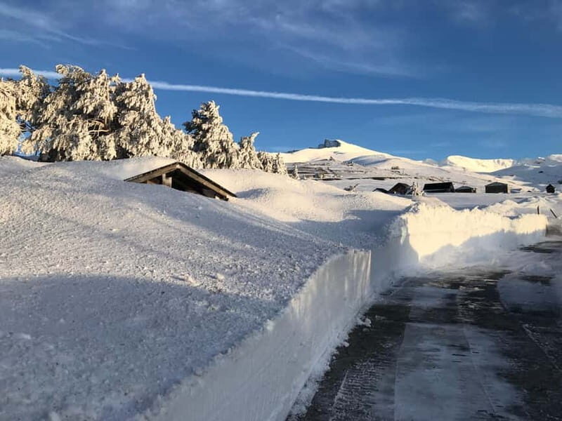 From Granada: Sierra Nevada Safari up to 2500 meters high - Exploring the Sierra Nevada from Granada: A Detailed Look at the Safari Up to 2500 Meters