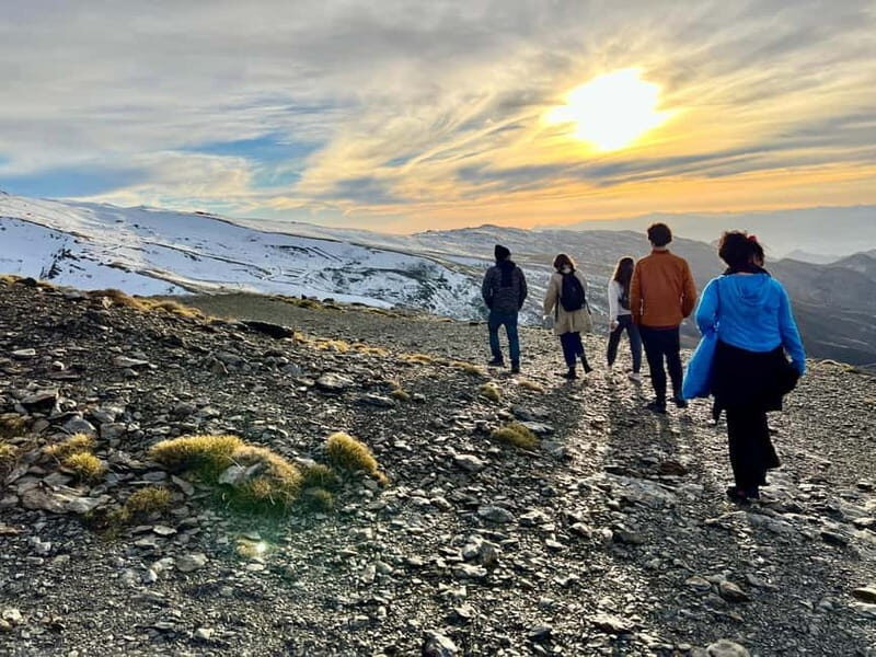 From Granada: Sierra Nevada Safari up to 2500 meters high - Is This Tour Right for You?