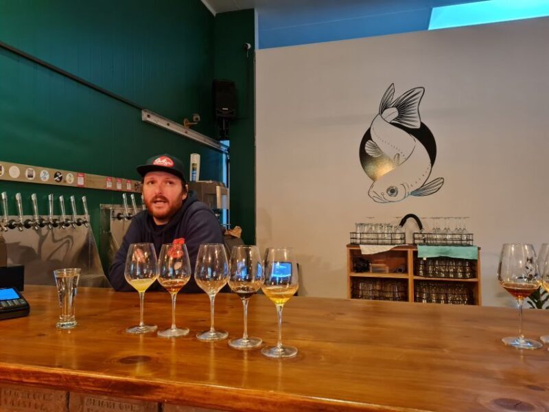 From Greymouth: Highlights West Coast Day Tour - The Itinerary in Detail: What to Expect on the West Coast Day Tour