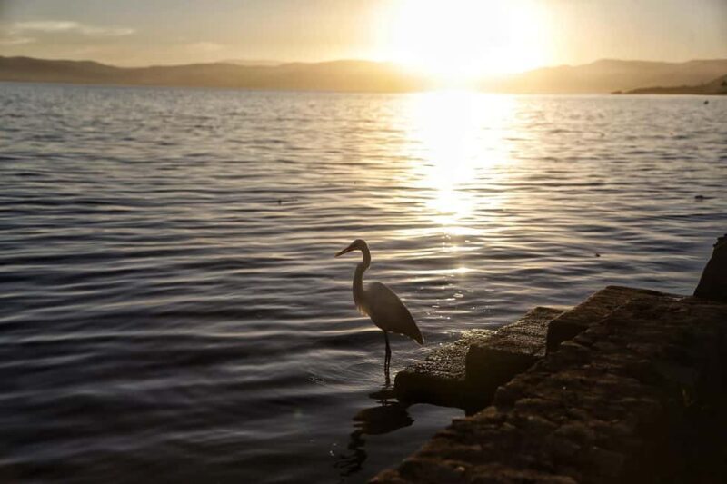 From Guadalajara: Chapala Lake & Ajijic Tour - Final Thoughts