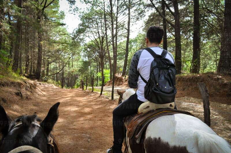 From Guadalajara: Guided Tour to Mazamitla and Eco-Park - The Sum Up
