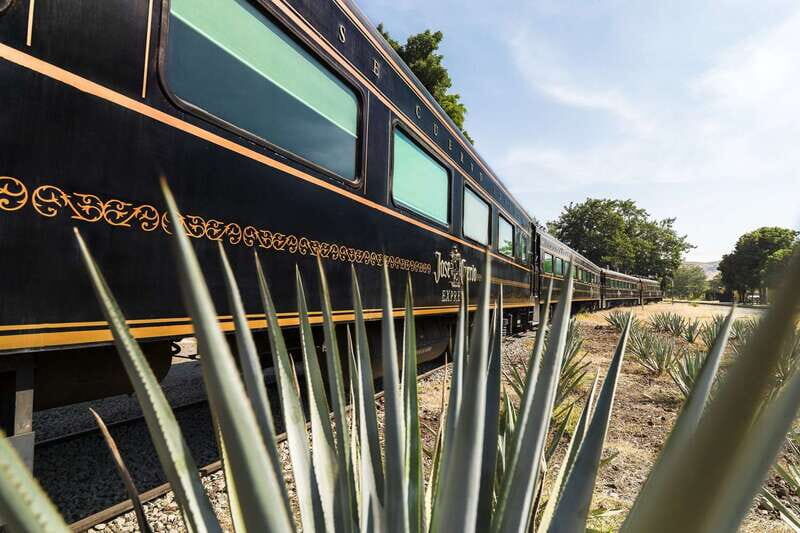 From Guadalajara: La Rojeña Distillery & Jose Cuervo Train - Key Points