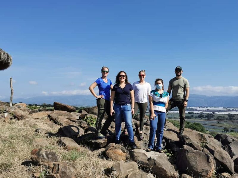 From Guadalajara: Tequila Tour: Tasting Experience & Lunch - Practical Details and Value