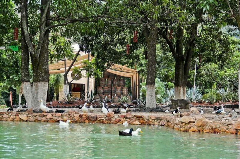 From Guadalajara: Tequila Tour: Tasting Experience & Lunch - Who Should Consider This Tour?