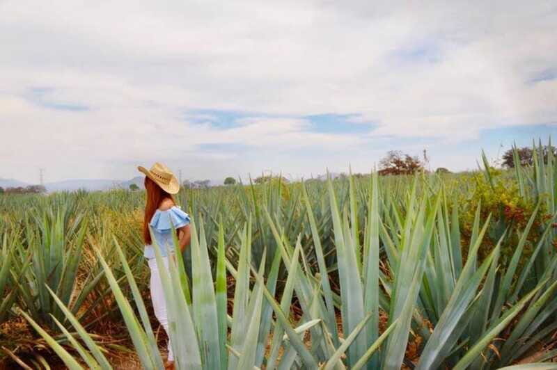 From Guadalajara: Tequila Town and Cantarito Making Tour - FAQ