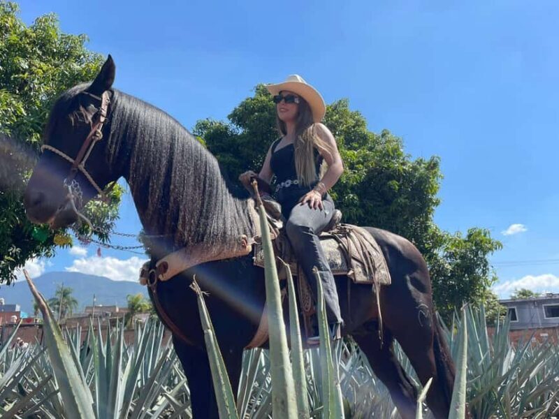 From Guadalajara: Tequila Town and Cantaritos El Guero - Starting the Day: Pickup and Journey