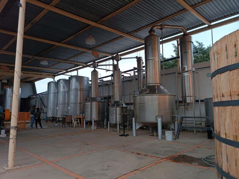 From Guadalajara: Tequila Town and Cantaritos El Guero - Returning to Guadalajara