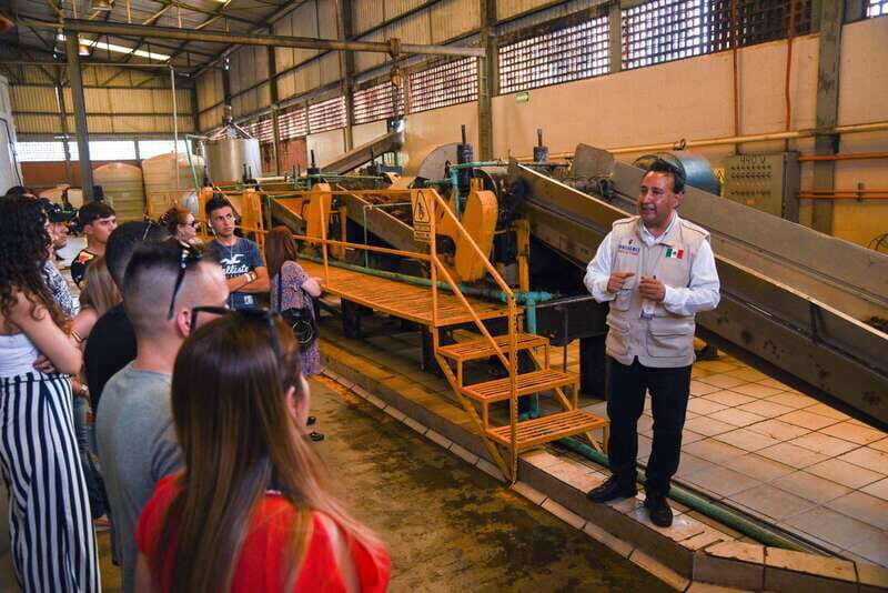 From Guadalajara: Tequila Trail Tour with Tasting - Key Points