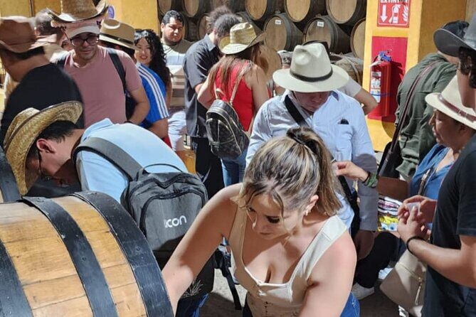 From Guadalajara to Cuervo for Worlds Largest Tequila Factory - FAQ