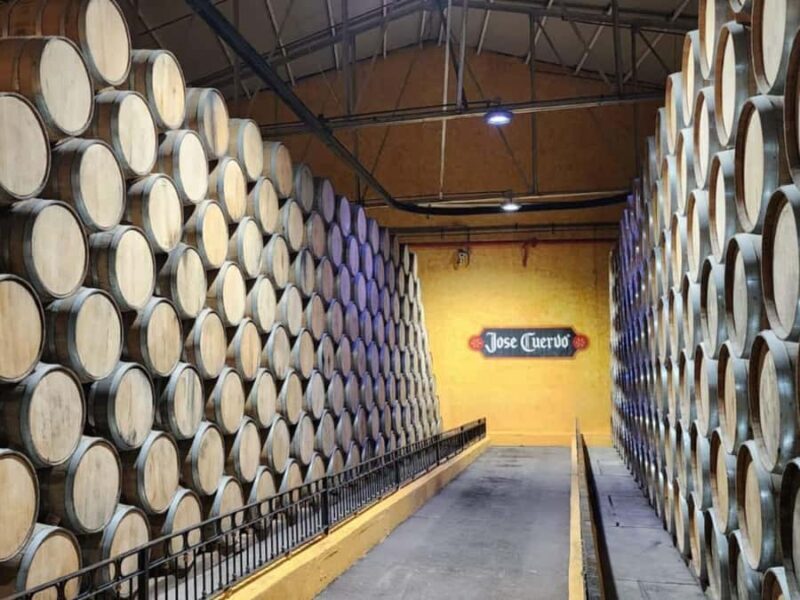 From Guadalajara to Cuervo. Worlds Largest Tequila Factory - Authentic Local Experiences