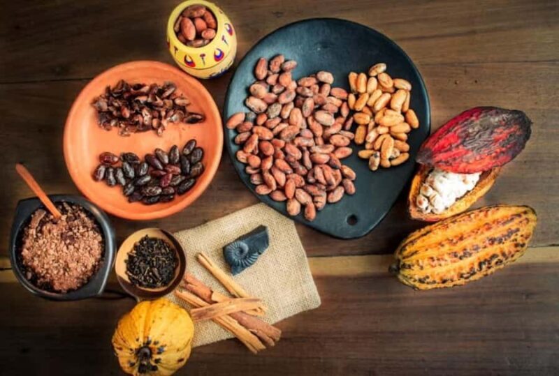 From Guatape: San Rafael Cocoa Tour - Exploring the San Rafael Cocoa Tour from Guatapé