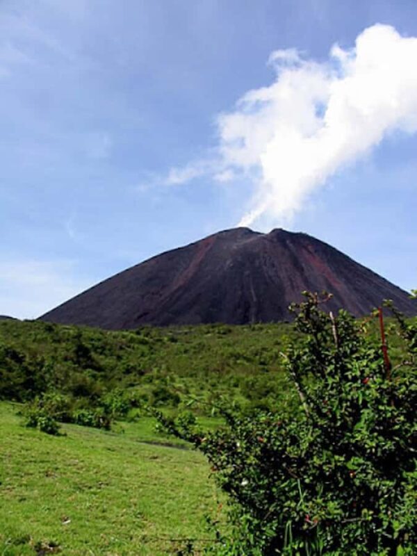 From Guatemala City or Antigua: Pacaya Volcano Day Tour - Exploring the Pacaya Volcano Day Tour in Detail