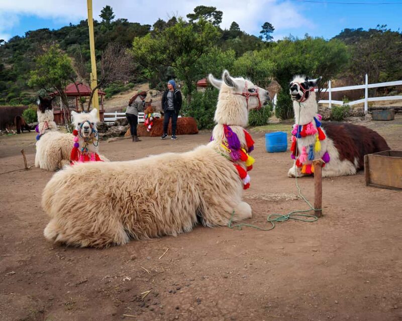 From Guatemala - Laguna Brava - Juan Dieguez Viewpoint - Magdalena Lagoon - Panoramic Vistas at Mirador Juan Dieguez Olaverri