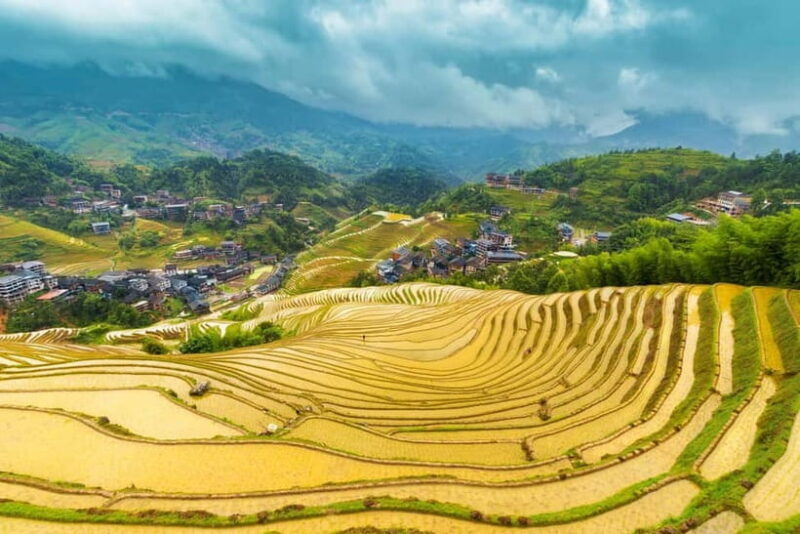 From Guilin: 1-Day Private Longji Rice Terraces Tour - Exploring the Longji Rice Terraces and Yao Village