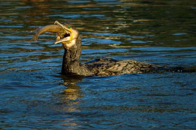 From Guilin: 6-Day Guilin, Yangshuo, and Longsheng Tour - Sailing the Li River and Moving to Yangshuo