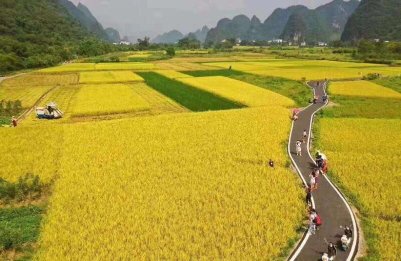 From Guilin: 6-Day Guilin, Yangshuo, and Longsheng Tour - Cycling and River Adventures in Yangshuo