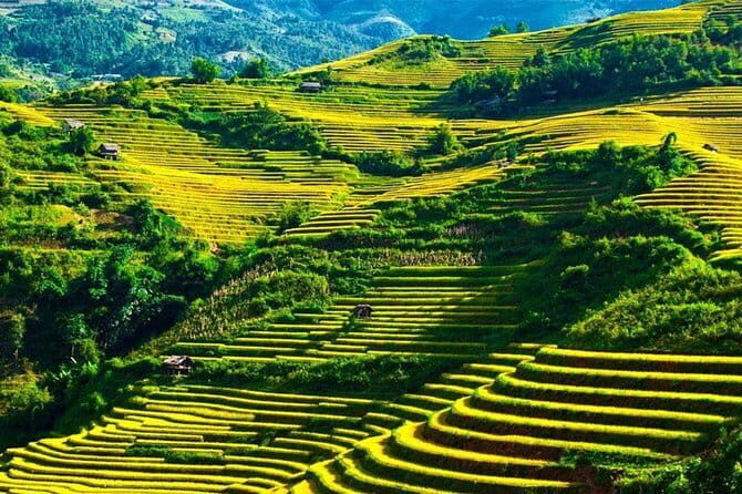From Ha Giang: Motorbike Tour 3D2N (Small Group with Easy Riders) - A Detailed Look at the Ha Giang Motorbike Tour
