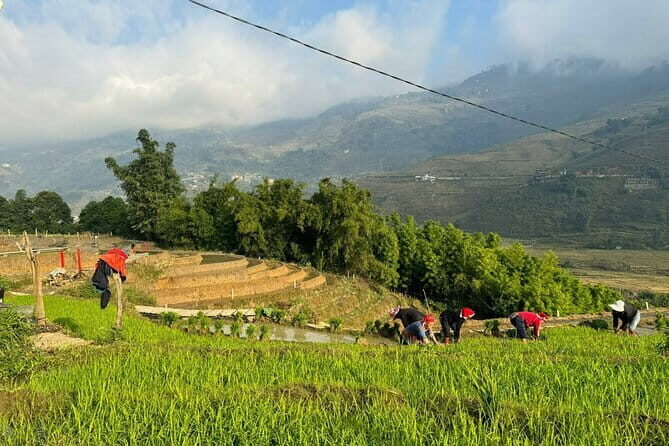 From Hà Ni ; Mu Cang Chai 3 Days 2 Nights By Car and Trekking - Key Points
