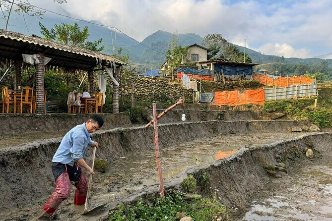 From Ha Noi: 3 Days and 2 Nights Sapa Trek with Local Guide - Authenticity and Value